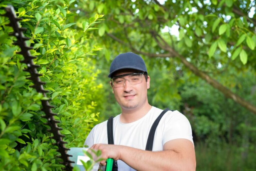 tree arborists