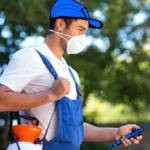Fumigation Sydney Guide: What Property Owners Should Know Before Treating a Building