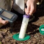 Termite Inspections Sydney: Why Sellers Should Book One Before Staging a Property
