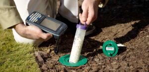 termite inspection